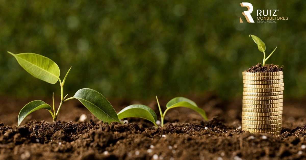Actualización Fiscal 2026: Facilidades Administrativas para el Sector Primario