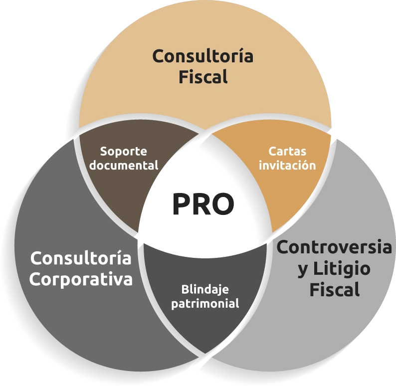 Diagrama de Consultoría PRO