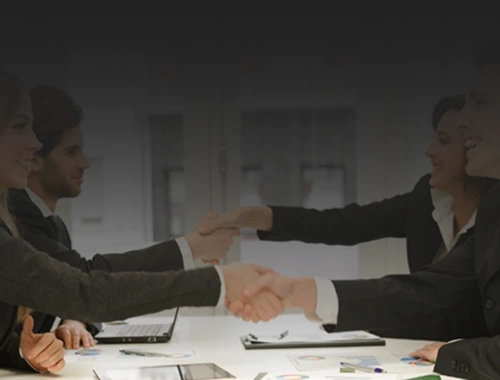 Trato directo con consultores profesionales expertos